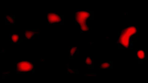Tech Finance Fintech Background Abstract.High Speed Light Particles Internet Stock Footage 310417236