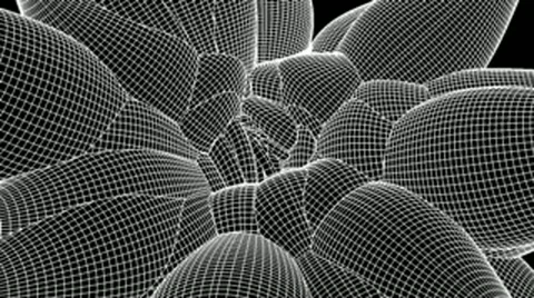 Tech greass Stock Footage 10878726