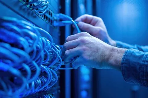 Tech links server cables 스톡 사진