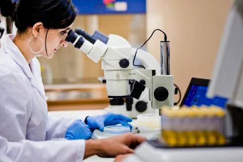 TechLab HIGHRES 0007 Stock-Fotos