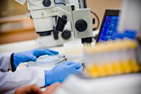 TechLab HIGHRES 0008 Stock-Fotos