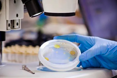 TechLab HIGHRES 0010 Stock-Fotos