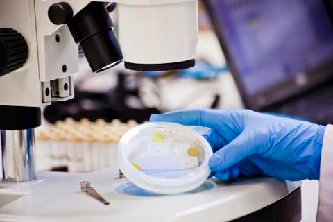 TechLab HIGHRES 0011 Stock-Fotos