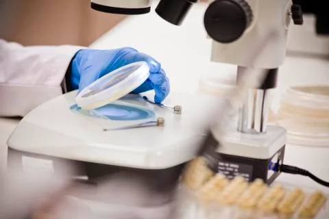 TechLab HIGHRES 0013 Stock Photos