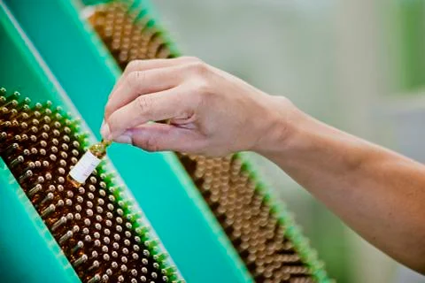 TechLab HIGHRES 0028 Stock Photos