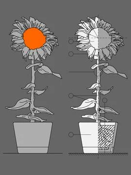 Technical blueprint of sunflower in a pot Stock Illustration
