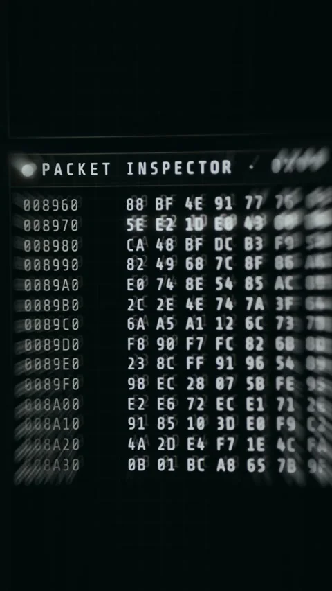 Technical diagnostic screen showing a hex dump Vidéo 335881082