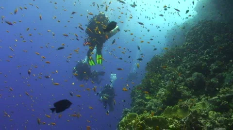 Technical diver exploring coral reef Vidéo 841685