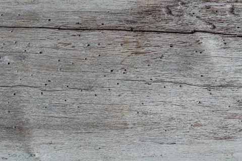 Technical macro view of heavily distressed gray timber plank showing detail.. Stock Photos