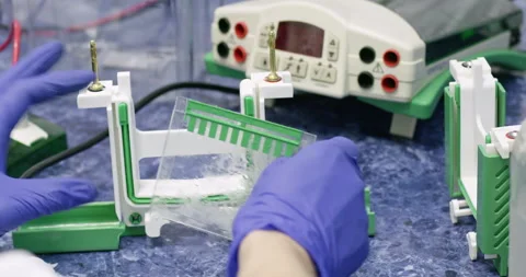 Technician assembles vertical electrophoresis device in lab Vídeos de archivo 274820306