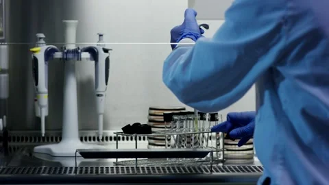 Technician in Blue Gown Sorting Sample Tubes, Sterile Lab Bench, Medium Shot Stock Footage 341329993