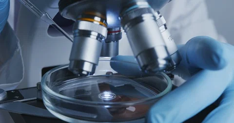 Technician drips a solution from pipette into Petri dish for further examination Vídeos de archivo 120727603