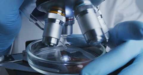 Technician drips a solution from pipette into Petri dish for further examination Stock Footage 120728565