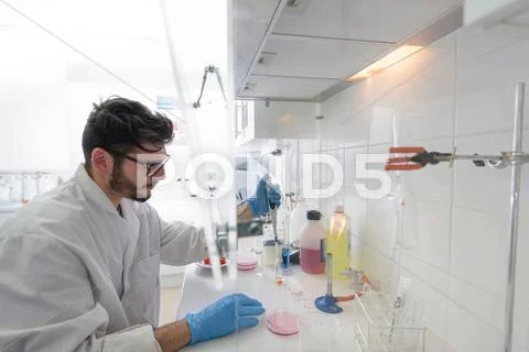 Technician In Food Testing Laboratory In Food Factory