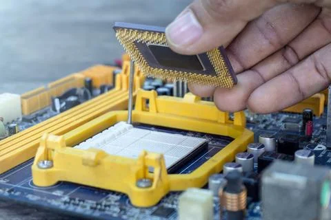 Technician hand holding the CPU or Central Processing Unit chip microproces.. Stock Photos