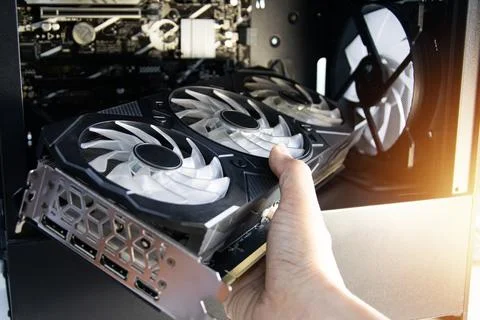 The technician is installing the computer graphics card. Stock Photos