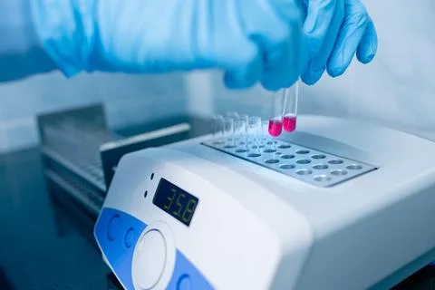 Technician loading test tubes into a dry block incubator for medical diagno.. Stock Photos