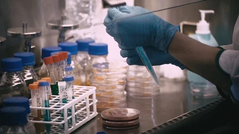 Technician with loop and petri dish in the laboratory / hand of Doctor making a 库存影片 76739582