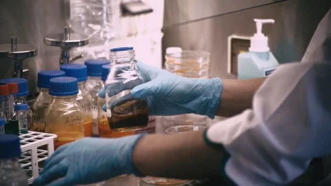 Technician with loop and petri dish in the laboratory / hand of Doctor making a Stock-Footage 76739648