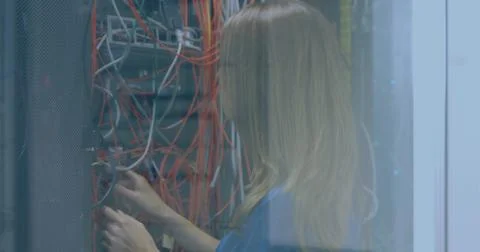 Technician managing network cables in server room, ensuring smooth data flow Stock Photos