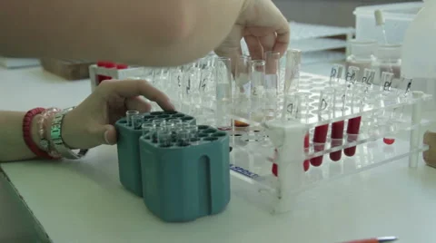 Technician packing blood samples in test tubes for laboratory analysis, close up Stock Footage 50029407