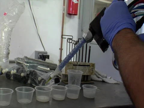 Technician pouring liquid into plastic cups Stock Footage 102185209