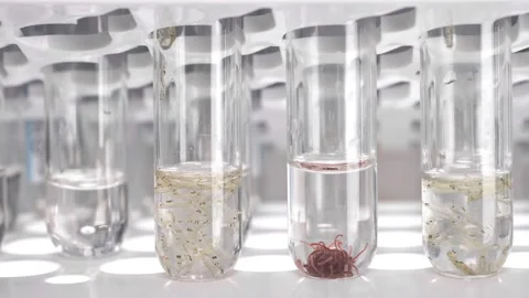 The technician takes turns taking test tubes Stock Footage 99440144