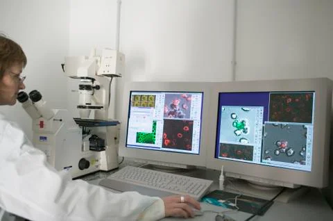 Technician using computer aided microscope in a laboratory Stock Photos