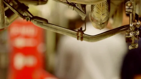 Technician working Stock Footage 77053501