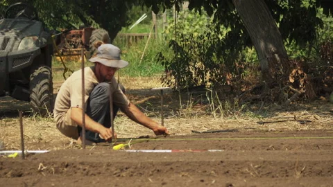 Technician working in a plot, agronomist doing calculations the field, Stock Footage 170882685