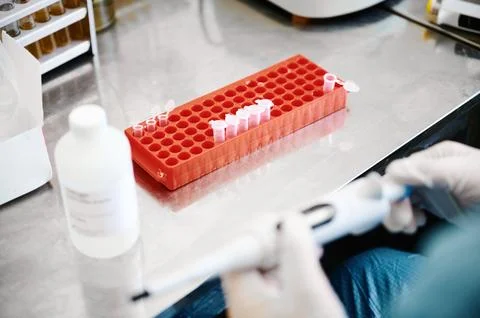 Technician works investigating analysis sample in test tubes Stock Photos