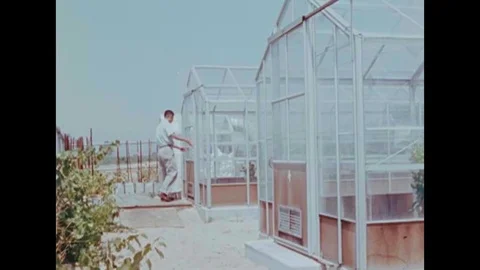 Technicians check for air pollution at various stations, outdoors, in Los Stock Footage 147391226