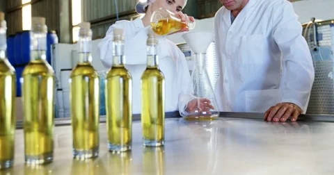 Technicians examining olive oil 4k Stock Footage 80024439