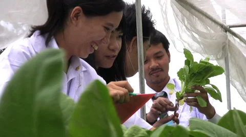 Technicians Examining Plants 스톡 동영상 1068759