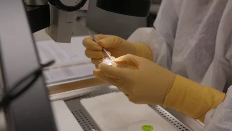 Technicians hands working on lab sample Video stock 77604844