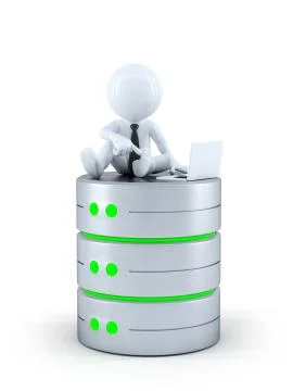 Technicians with laptop on top of the database Stock Illustration