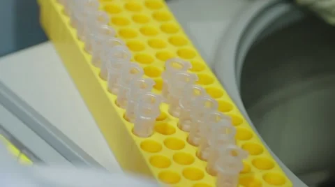 Technicians Operating Machine In Laboratory Stock Footage 61458498