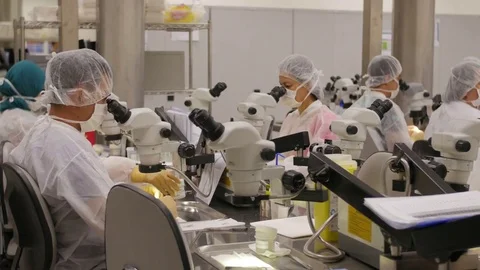 Technicians working in a lab Stock Footage 77604882