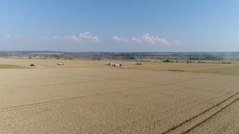 The technique works in the field Stock Footage 82012585