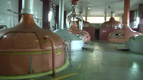 Technological line for bottling of beer in brewery. 動画素材 253122797