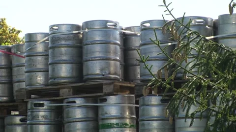 Technological line for bottling of beer in brewery Stock Footage 253122814