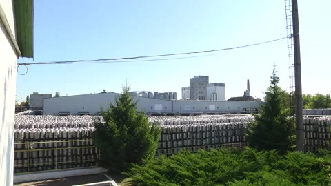 Technological line for bottling of beer in brewery Stock Footage 253122817