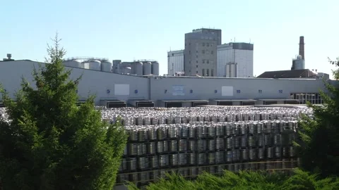 Technological line for bottling of beer in brewery Stock Footage 253122818