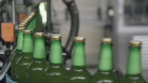 Technological line for bottling beer. Green bottles filled with beer move along Vidéo 151888261