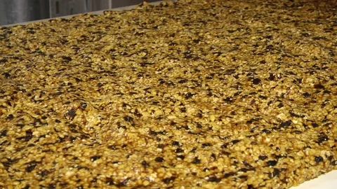 Technological process for the production of muesli bars. Video stock 168505362