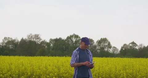Technology in Agriculture farmer using digital tablet on oilseed farm field Stock Footage 124709534