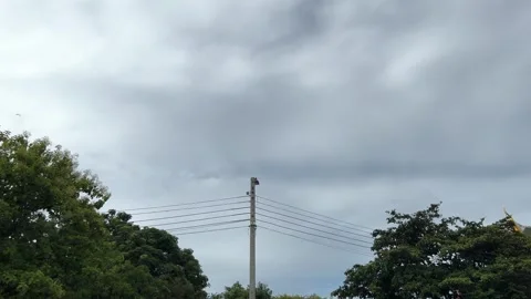 Technology And Environment, Electric Pole, Electric Lines, Part Of Roof Stock Footage 282292403