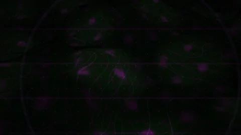 Technology Background with Purple Grid Lines and Glowing Particles for Sci .. Stock Footage 343769910