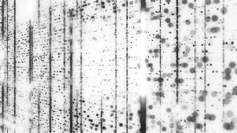 Technology digital connection dots loop background Stock Footage 274414259