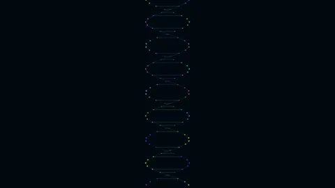 Technology DNA - DNA Double Helix Structure Animation Stock Footage 340364589